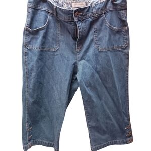Christopher & Banks Blue Denim Jean Shorts